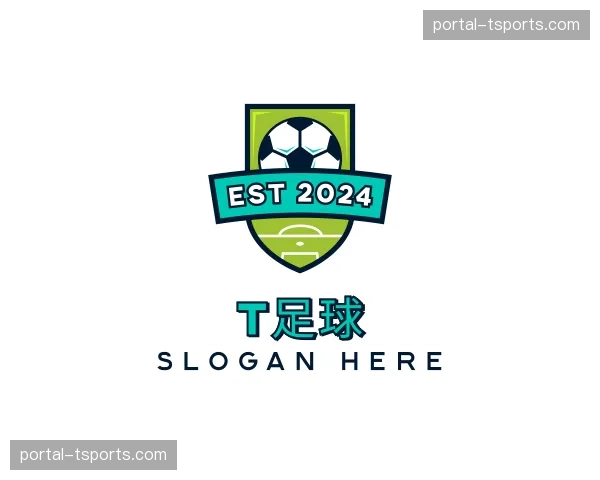 介绍t足球